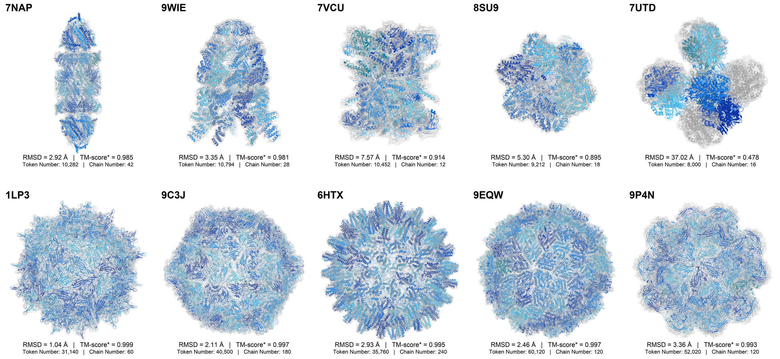 Ten Mol-1 agent assembly predictions identified by PDB ID, with RMSD, TM-score, token count, and chain count.