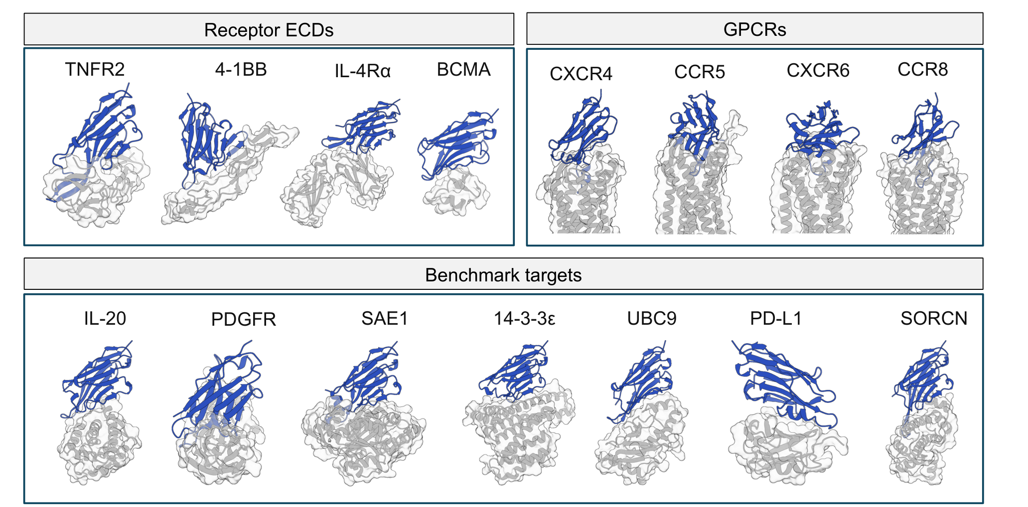 Designed VHH–target complex models: receptor extracellular domains, GPCRs, and benchmark targets